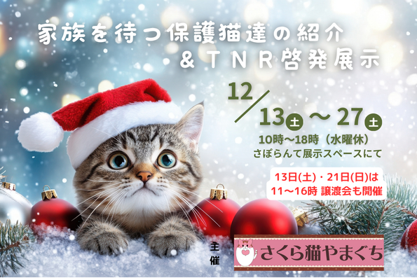 家族を待つ保護猫達の紹介 &TNR啓発展示