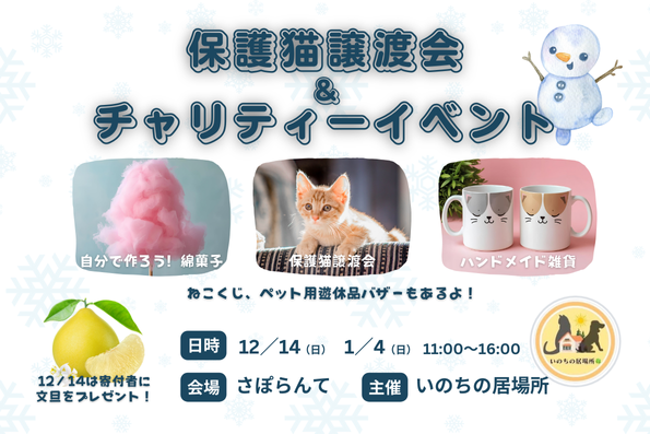 保護猫譲渡会&チャリティーイベント