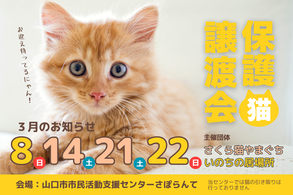 さくら猫やまぐち