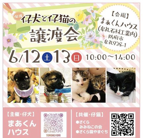 譲渡会チラシ