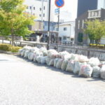 一の坂川一斉清掃ボランティア