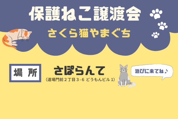 さくら猫やまぐち