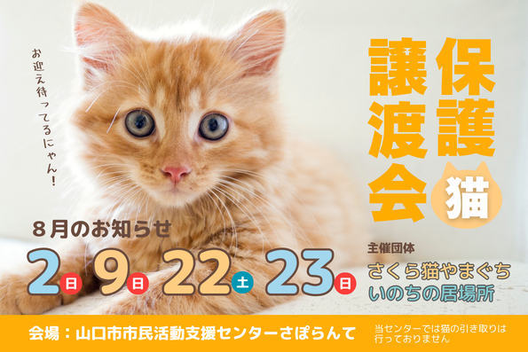 さくら猫やまぐち